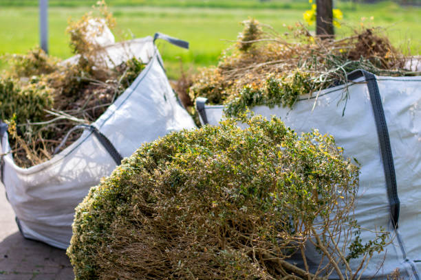 Best Office Cleanout  in Underwood Petersville, AL